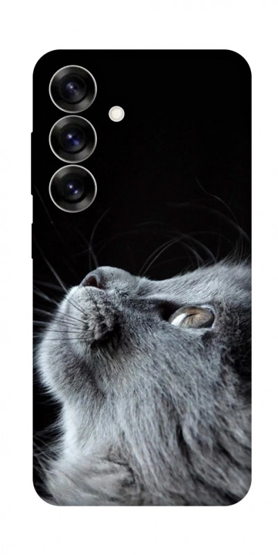 Чехол itsPrint Cute cat для Samsung Galaxy S25+, животные, купить оптом с доставкой