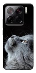 Чехол itsPrint Cute cat для Xiaomi 15 Pro