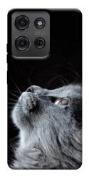 Чехол itsPrint Cute cat для Motorola Moto G75 5G