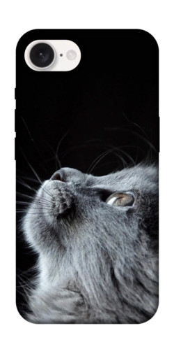 Чехол itsPrint Cute cat для Apple iPhone 16e (6.1")