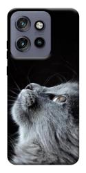 Чехол itsPrint Cute cat для Motorola Edge 50 Neo
