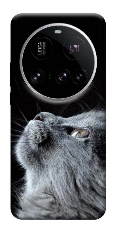 Чехол itsPrint Cute cat для Xiaomi 15 Ultra, животные, купить оптом с доставкой