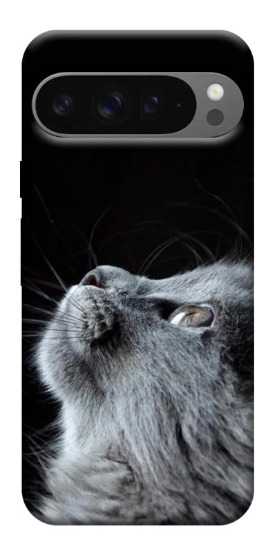 Чехол itsPrint Cute cat для Google Pixel 10 Pro XL, животные, купить оптом с доставкой