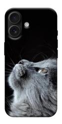 Чехол itsPrint Cute cat для Apple iPhone 17 (6.3")