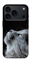 Чехол itsPrint Cute cat для Apple iPhone 17 Pro Max (6.9")