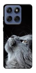 Чехол itsPrint Cute cat для Motorola Edge 60 Fusion