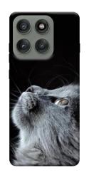 Чехол itsPrint Cute cat для Motorola Edge 60 Pro