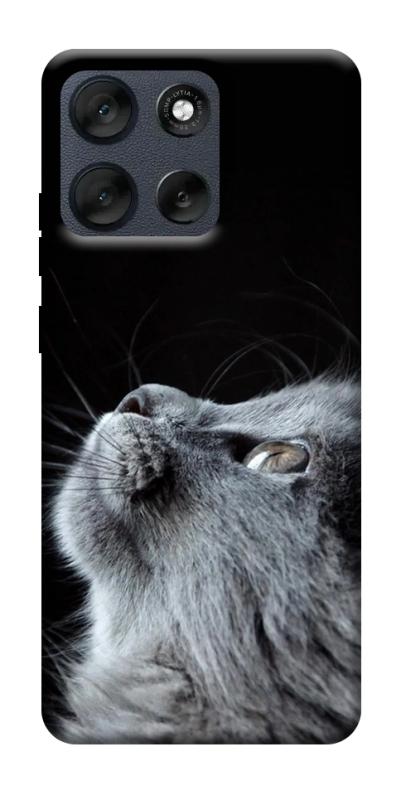 Чехол itsPrint Cute cat для Motorola Moto G56 5G, животные, купить оптом с доставкой