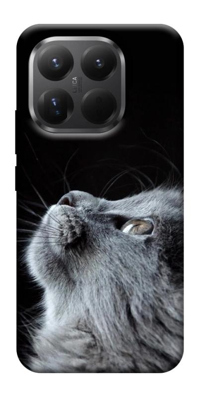 Чехол itsPrint Cute cat для Xiaomi 15T Pro, животные, купить оптом с доставкой