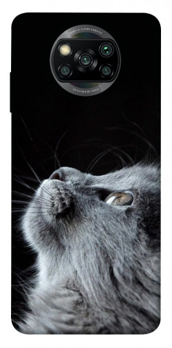 Чехол itsPrint Cute cat для Xiaomi Poco X3 NFC / Poco X3 Pro