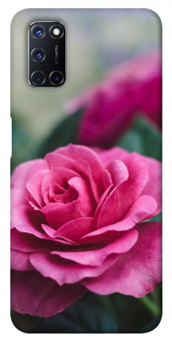 Чехол itsPrint Роза в саду для Oppo A52 / A72 / A92