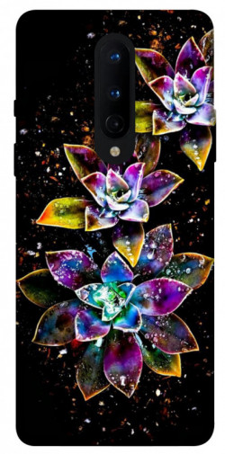 Чохол itsPrint Flowers on black для OnePlus 8