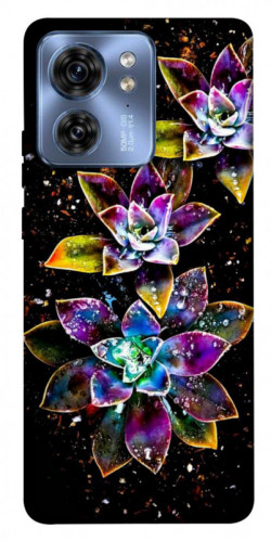 Чохол itsPrint Flowers on black для Motorola Edge 40