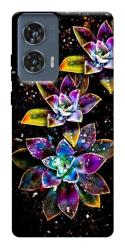 Чехол itsPrint Flowers on black для Motorola Edge 50 Fusion