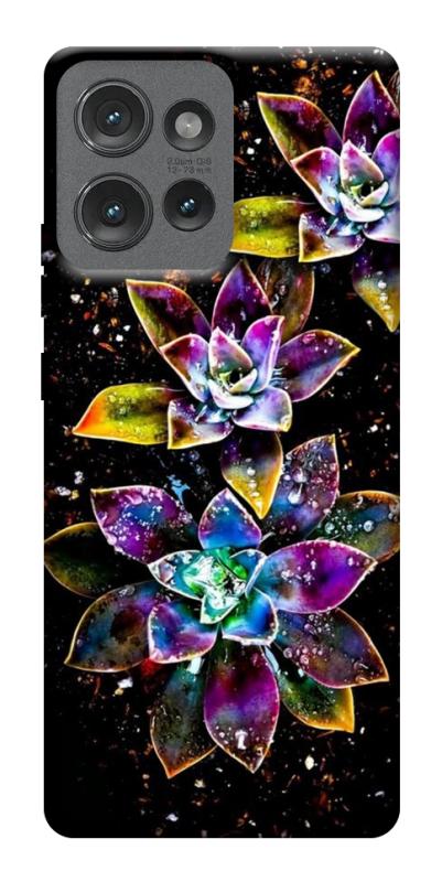 Чехол itsPrint Flowers on black для Motorola Edge 50, цветы, купить оптом с доставкой