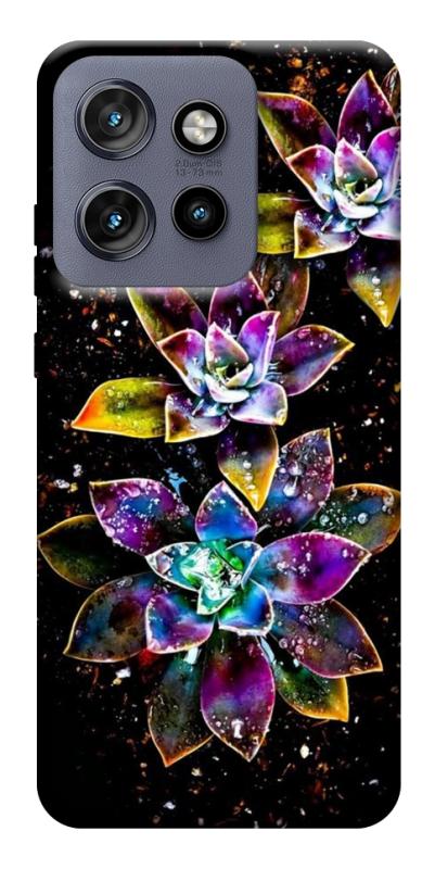 Чехол itsPrint Flowers on black для Motorola Edge 50 Neo, цветы, купить оптом с доставкой