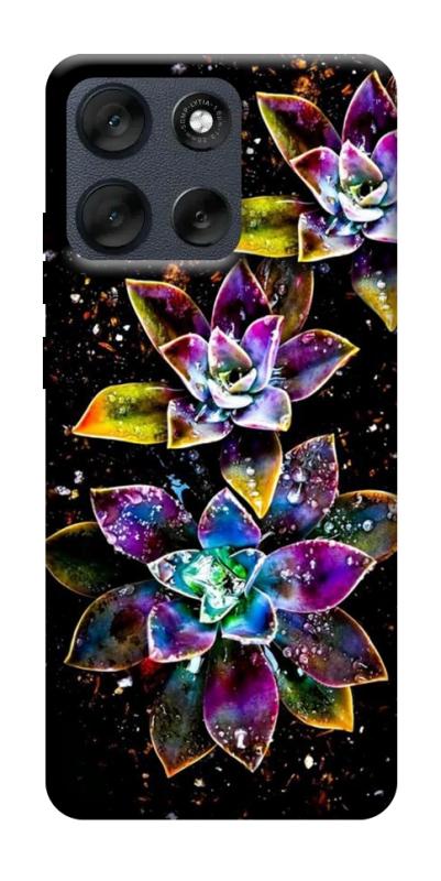 Чехол itsPrint Flowers on black для Motorola Moto G56 5G, цветы, купить оптом с доставкой