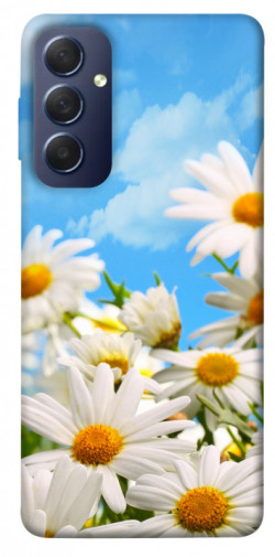 Чехол itsPrint Ромашковое поле для Samsung Galaxy M54 5G