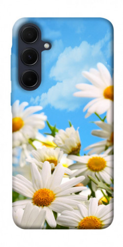 Чехол itsPrint Ромашковое поле для Samsung Galaxy A55