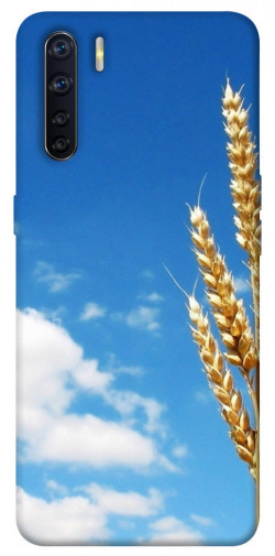 Чехол itsPrint Пшеница для Oppo A91