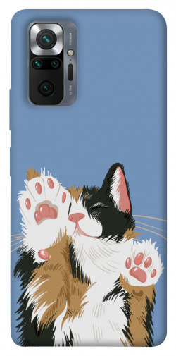 Чехол itsPrint Funny cat для Xiaomi Redmi Note 10 Pro Max