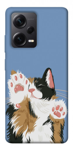 Чохол itsPrint Funny cat для Xiaomi Redmi Note 12 Pro+ 5G