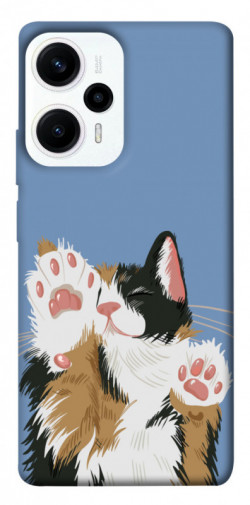 Чехол itsPrint Funny cat для Xiaomi Poco F5 Pro