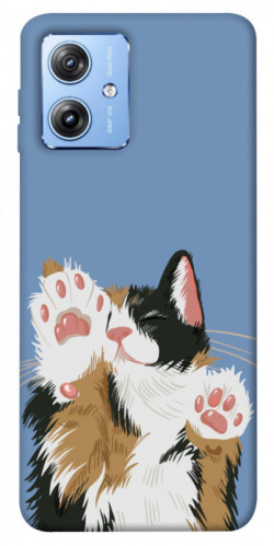 Чехол itsPrint Funny cat для Motorola Moto G84