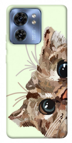 Чохол itsPrint Cat muzzle для Motorola Edge 40