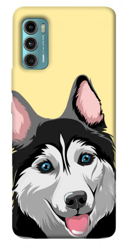 Чехол itsPrint Husky dog для Motorola Moto G60