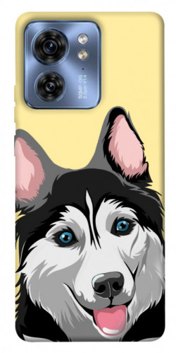Чехол itsPrint Husky dog для Motorola Edge 40