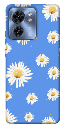 Чохол itsPrint Chamomile pattern для Motorola Edge 40