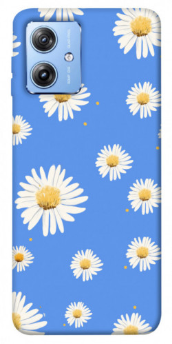 Чохол itsPrint Chamomile pattern для Motorola Moto G84