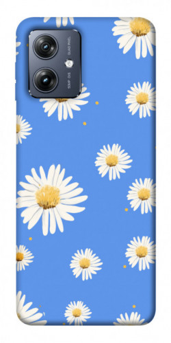 Чохол itsPrint Chamomile pattern для Motorola Moto G54