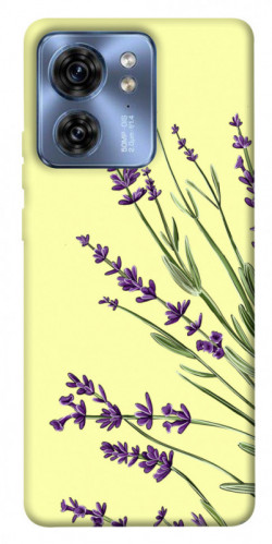 Чехол itsPrint Lavender art для Motorola Edge 40