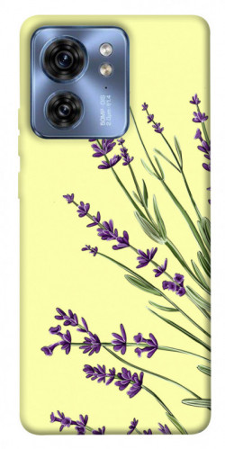 Чохол itsPrint Lavender art для Motorola Edge 40