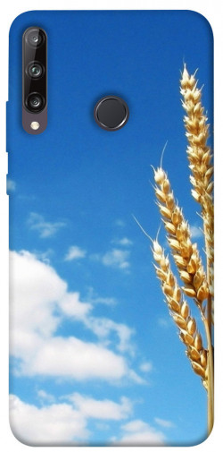 Чехол itsPrint Пшеница для Huawei P40 Lite E / Y7p (2020)