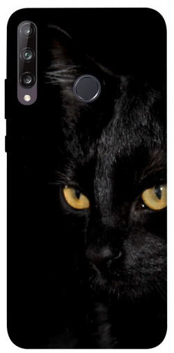 Чехол itsPrint Черный кот для Huawei P40 Lite E / Y7p (2020)