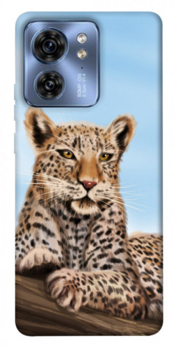 Чехол itsPrint Proud leopard для Motorola Edge 40