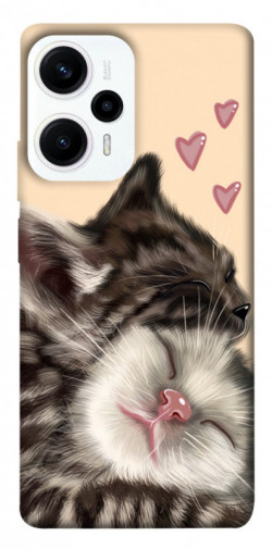 Чехол itsPrint Cats love для Xiaomi Poco F5 Pro