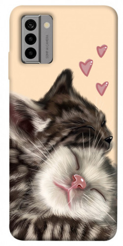 Чехол itsPrint Cats love для Nokia G22