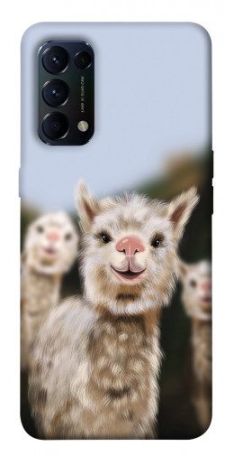 Чехол itsPrint Funny llamas для Oppo Reno 5 4G