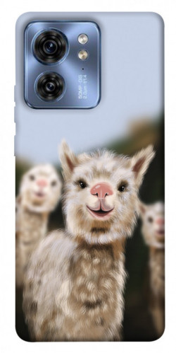 Чехол itsPrint Funny llamas для Motorola Edge 40