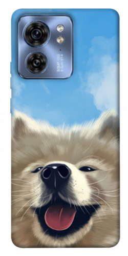 Чохол itsPrint Samoyed husky для Motorola Edge 40