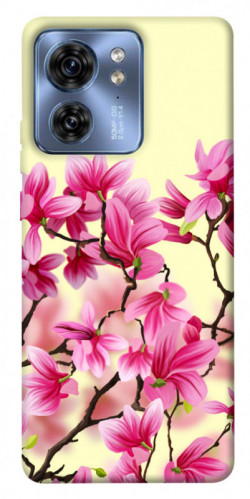 Чехол itsPrint Цветы сакуры для Motorola Edge 40