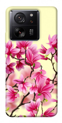 Чехол itsPrint Цветы сакуры для Xiaomi 13T