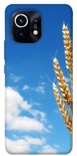 Чехол itsPrint Пшеница для Xiaomi Mi 11