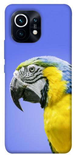 Чехол itsPrint Попугай ара для Xiaomi Mi 11