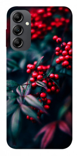 Чохол itsPrint Red berry для Samsung Galaxy A14 4G/5G