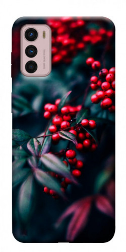 Чехол itsPrint Red berry для Motorola Moto G42